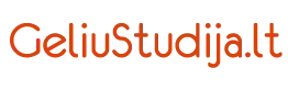 geliustudija.lt
